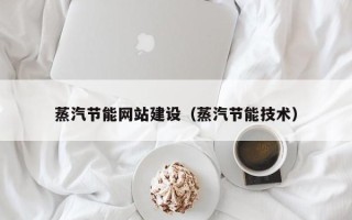 日土蒸汽节能网站建设（蒸汽节能技术）